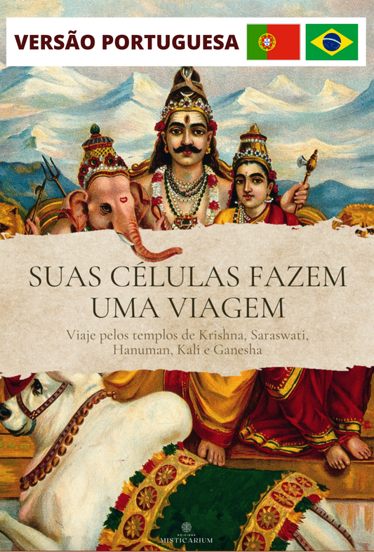 SUAS CÉLULAS FAZEM UMA VIAGEM - Viaje pelos templos de Krishna, Saraswati, Hanuman, Kali e Ganesha