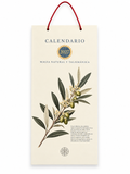 Calendario 2027 · Magia Natural y Talismánica · 12 Talismanes y sus Plantas Sagradas
