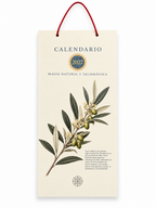 Calendario 2027 · Magia Natural y Talismánica · 12 Talismanes y sus Plantas Sagradas