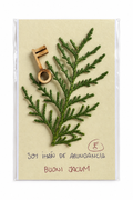 Regalo - Abundancia