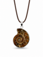 Colgante de amonita fósil con cordón marrón ajustable de 45 cm.