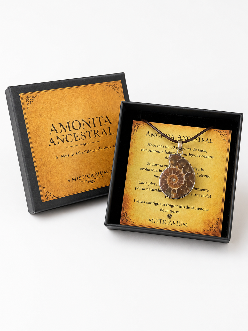 Colgante de amonita fósil natural engastada, con espiral en tonos marrón y ámbar